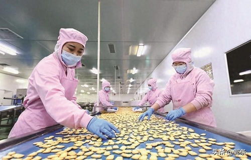 生物技術驅動邱縣食品產業新圖景 創新、升級與可持續發展