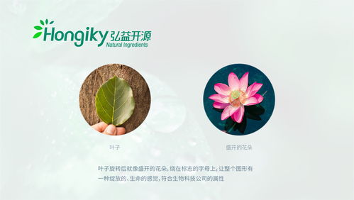 生物科技公司logo設(shè)計定稿提案